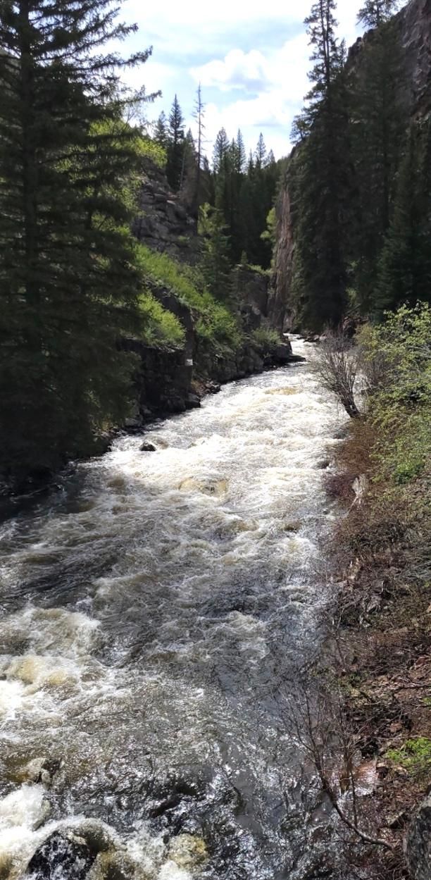 20 acres in Routt County, Colorado