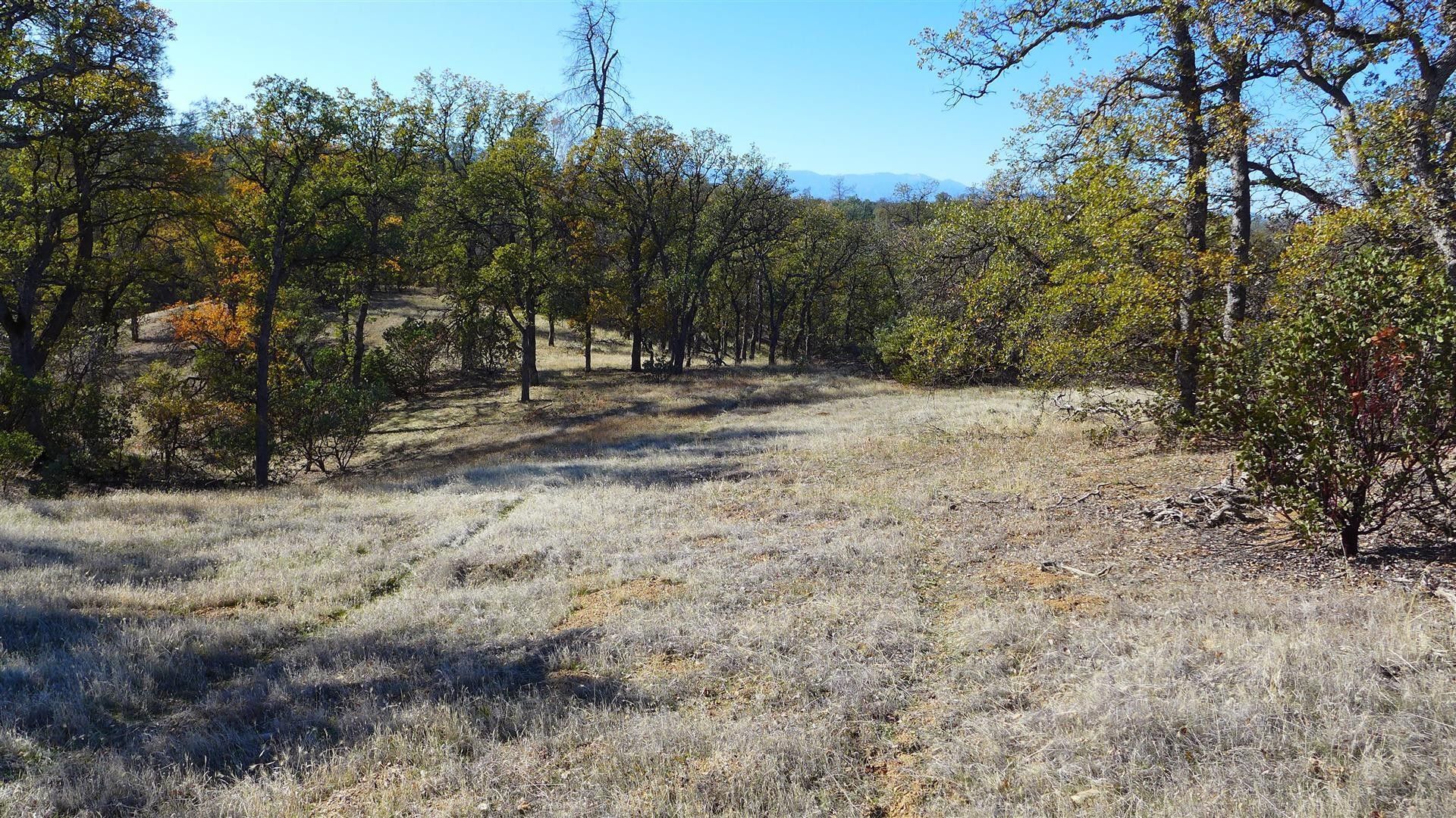 15 acres in Tehama County, California