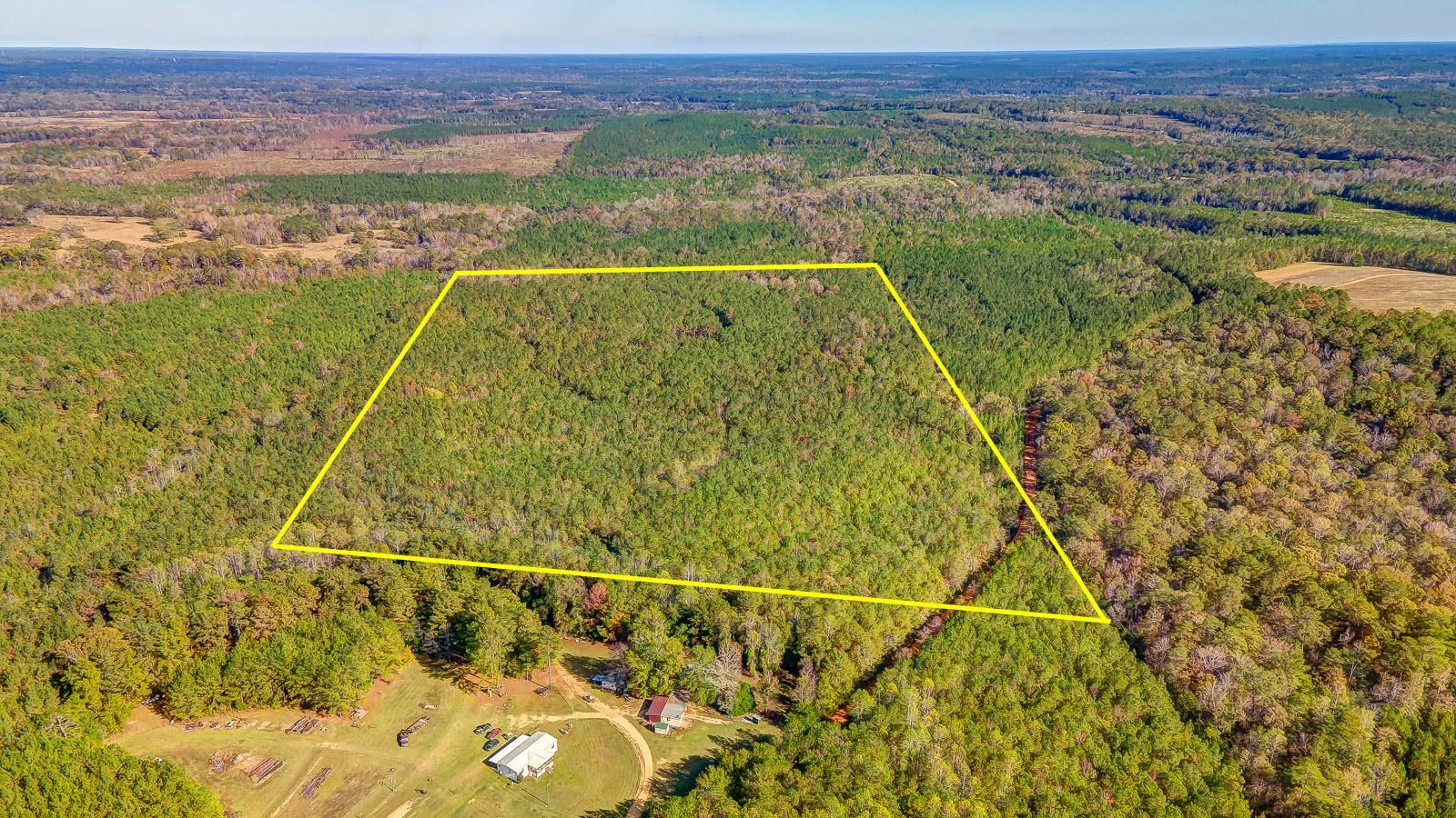 80 acres in Conecuh County, Alabama