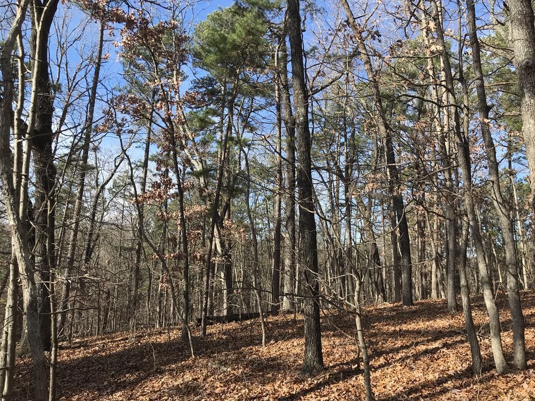 40 acres in Washington County, Missouri