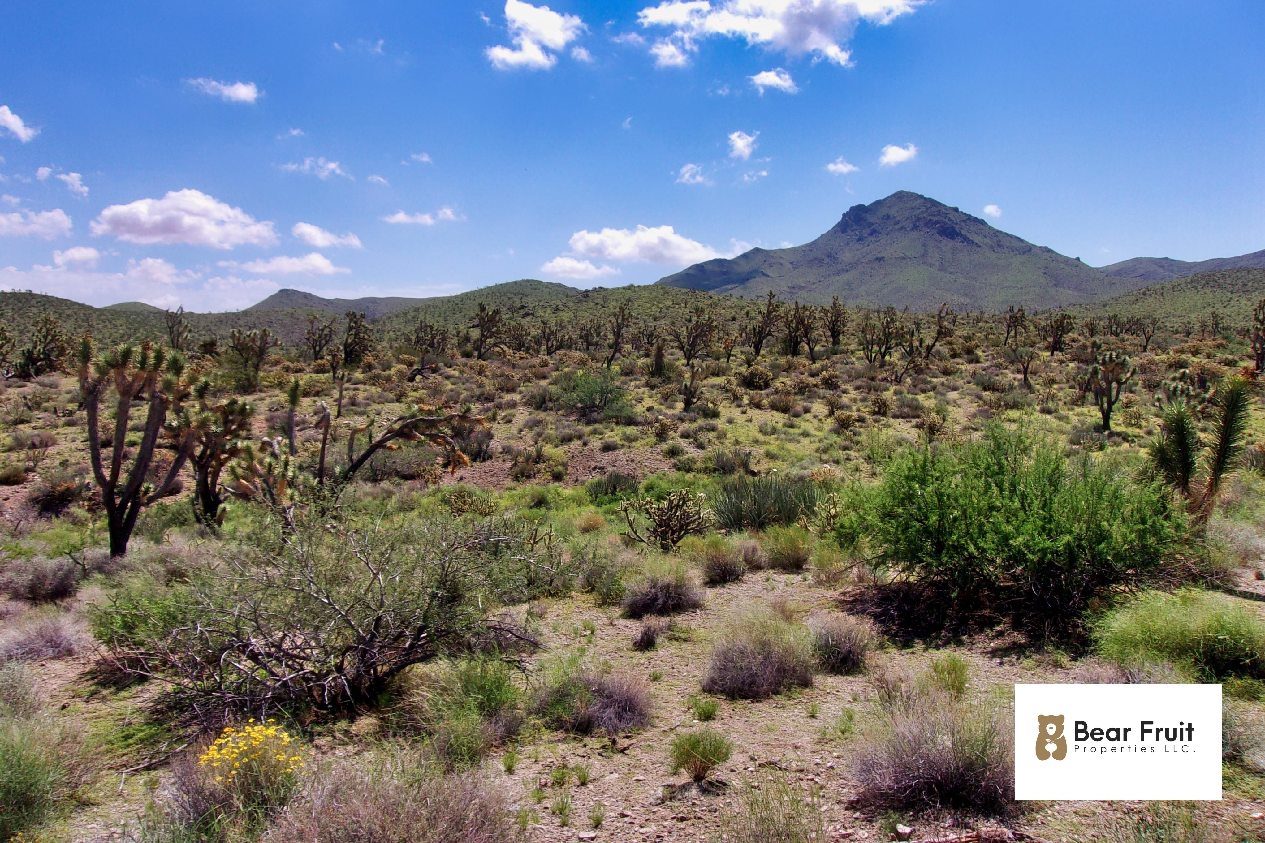 1.07 acres in Mohave County, Arizona