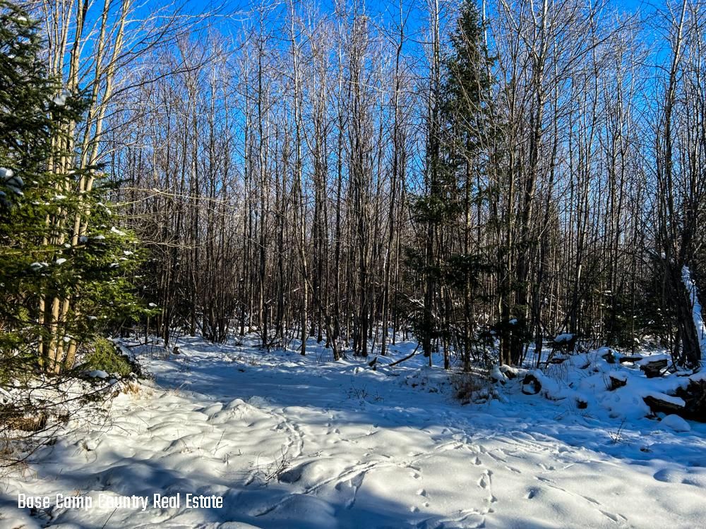 Getts Rd, Deerbrook, WI 54424