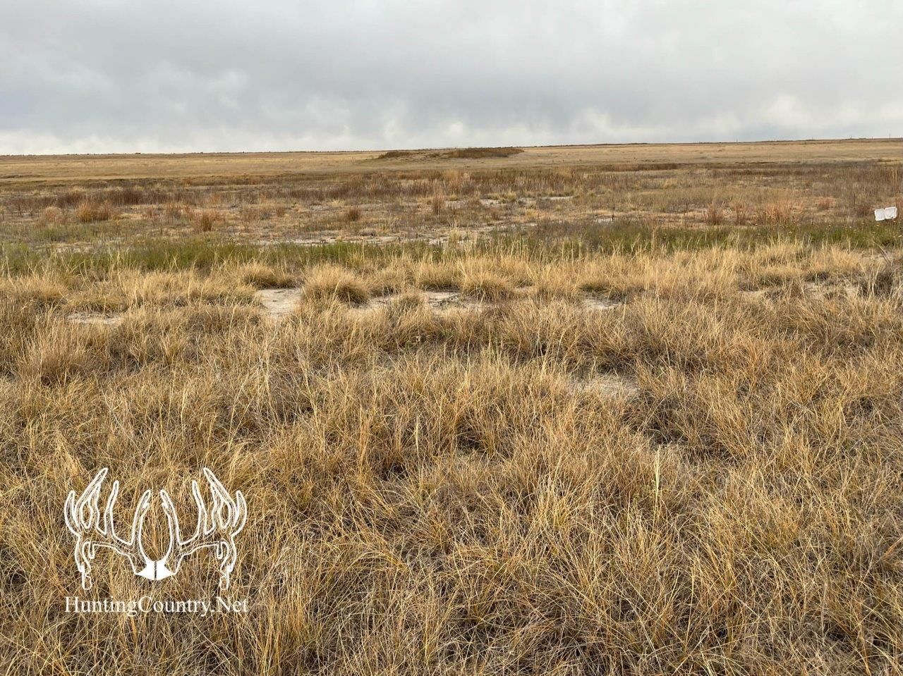 160 acres in Meade County, Kansas