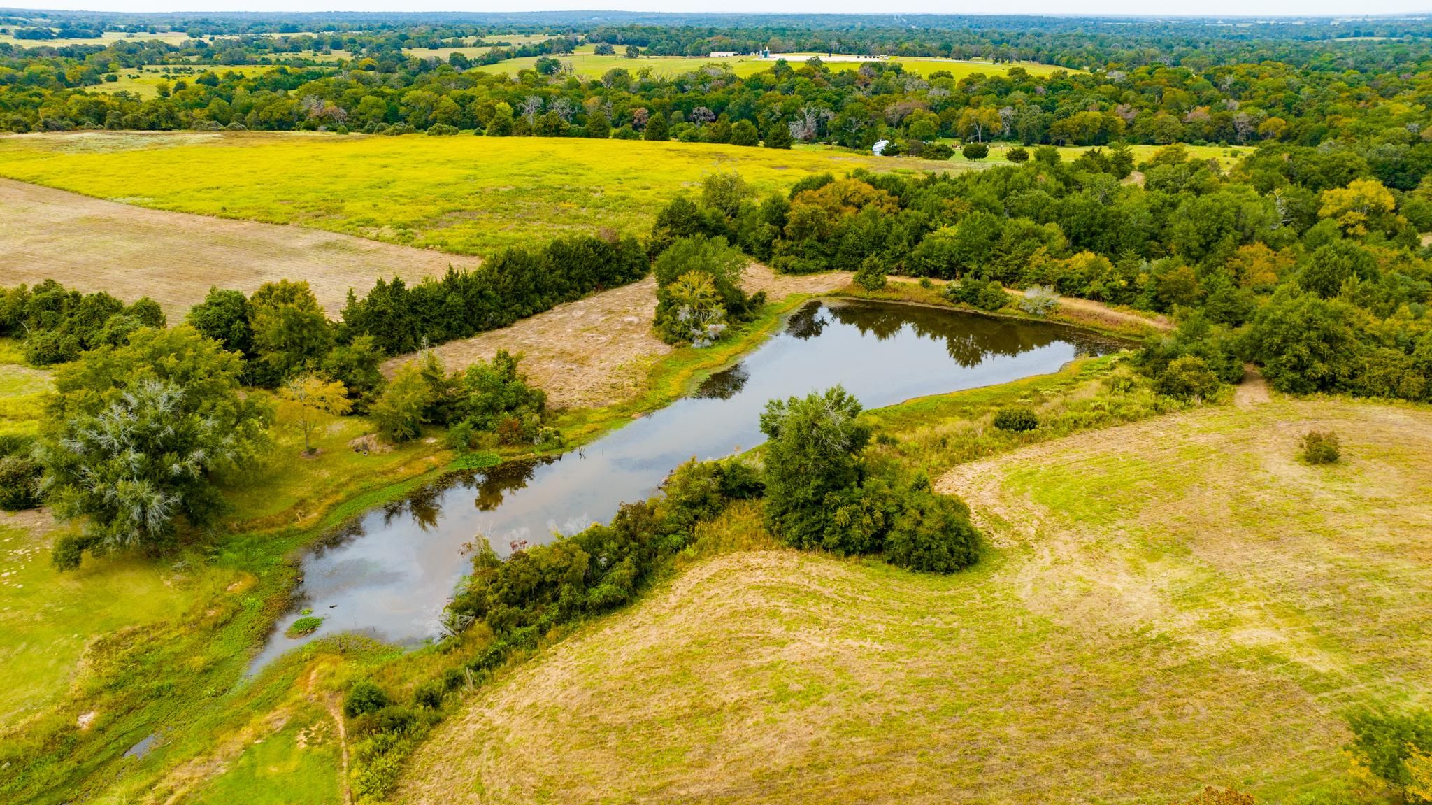 330 acres in Robertson County, Texas