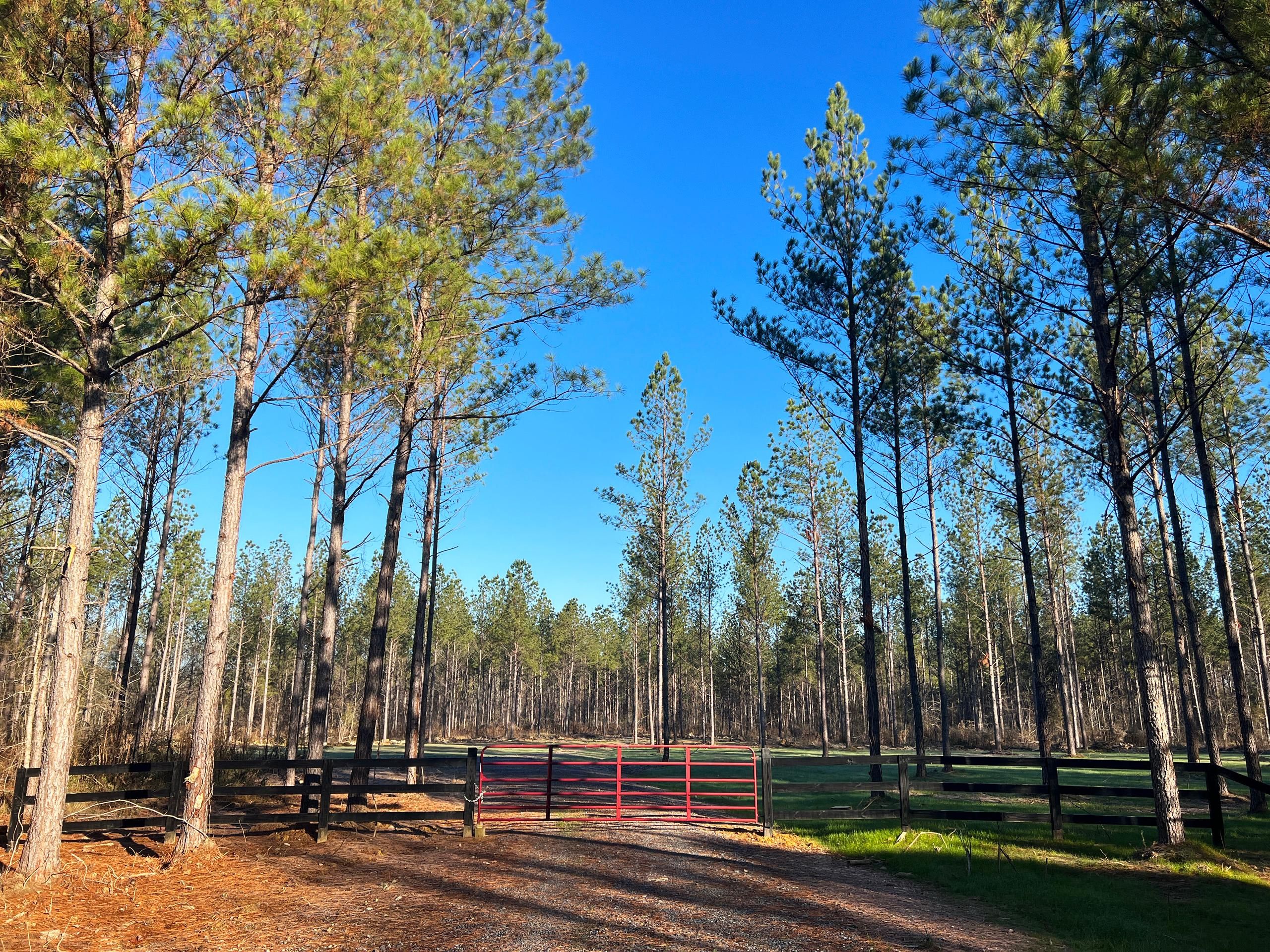 32.2 acres in Lyerly, GA, 30730