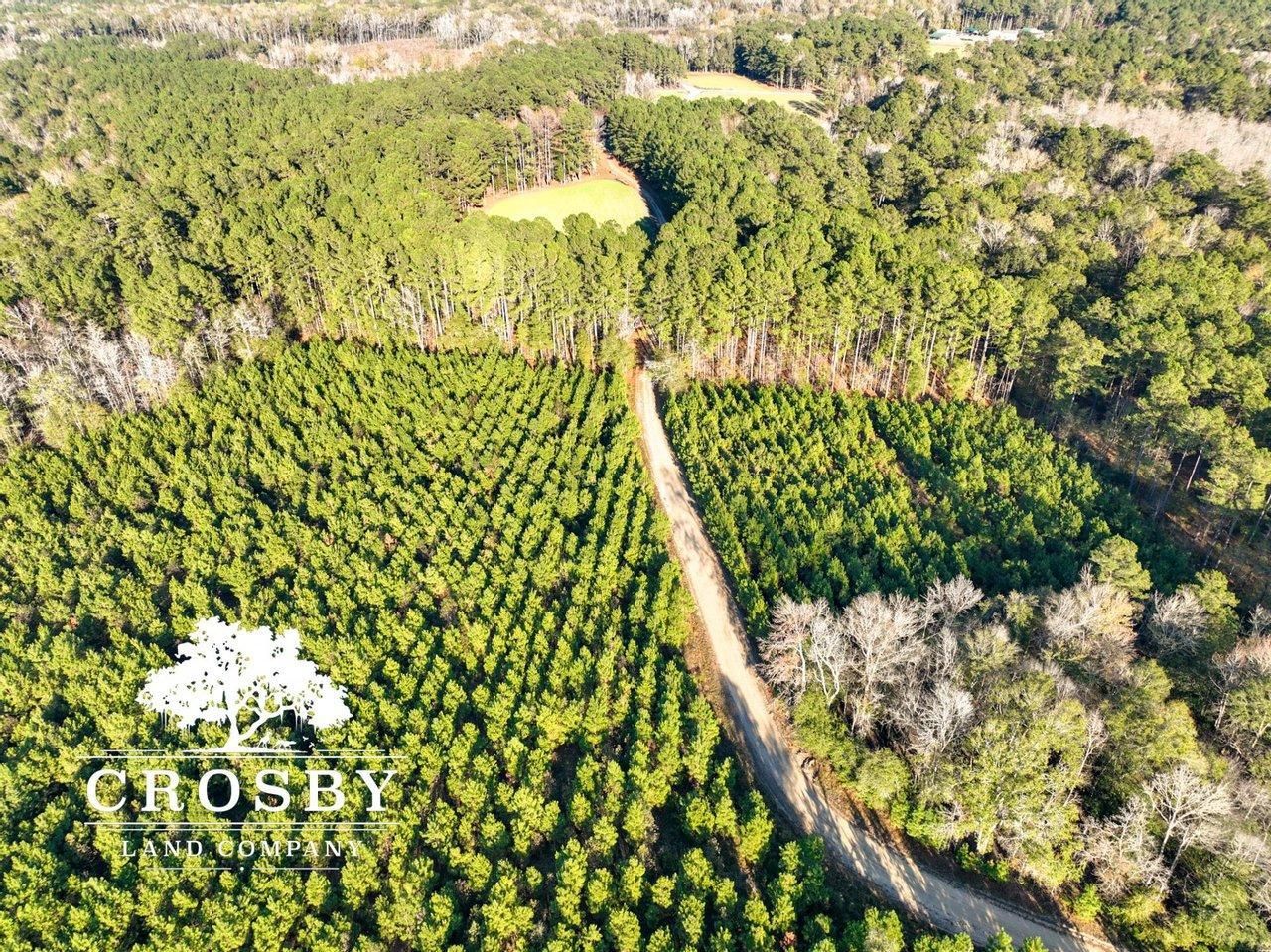 94 acres in Orangeburg County, South Carolina