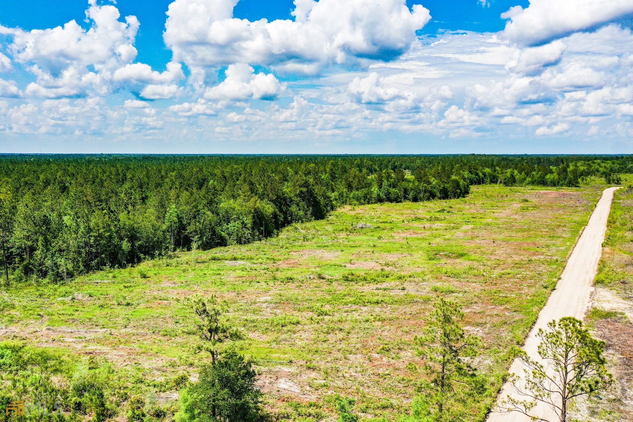 15 acres in Brantley County,