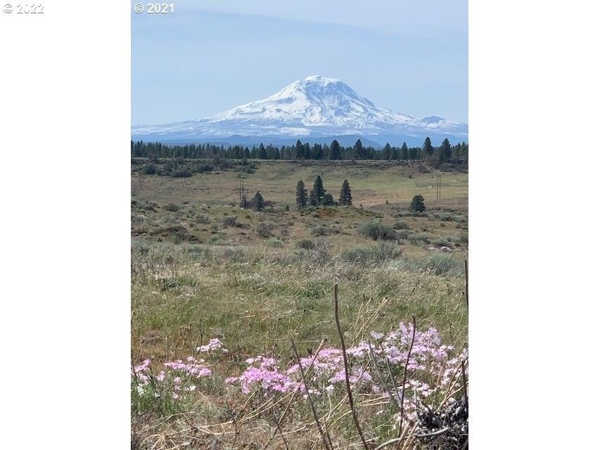 20 acres in Klickitat County, Washington