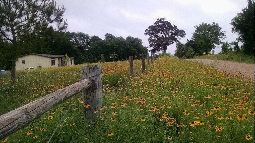 4.8 acres in Austin County, Texas