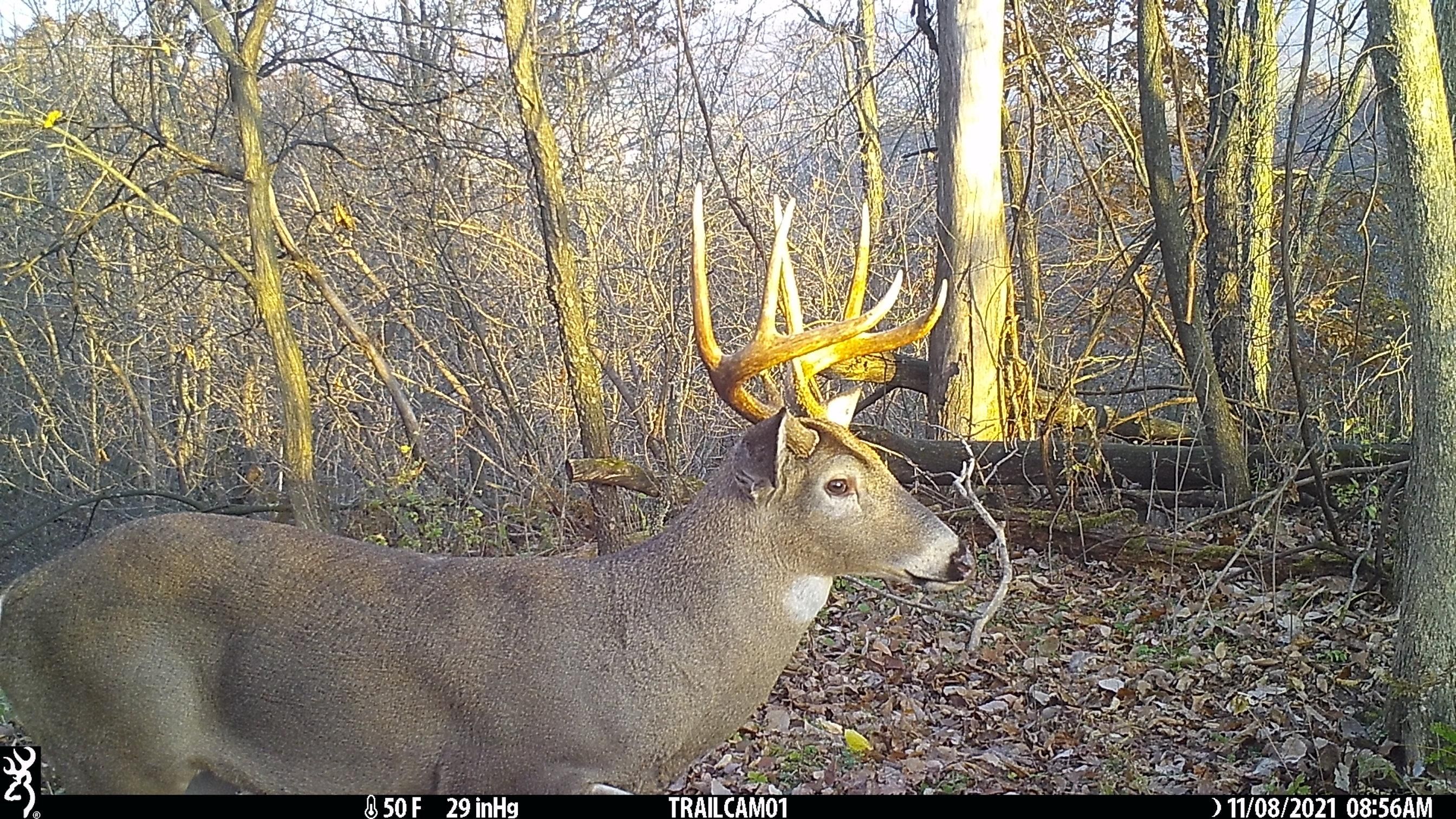 80 acres in Trempealeau County, Wisconsin