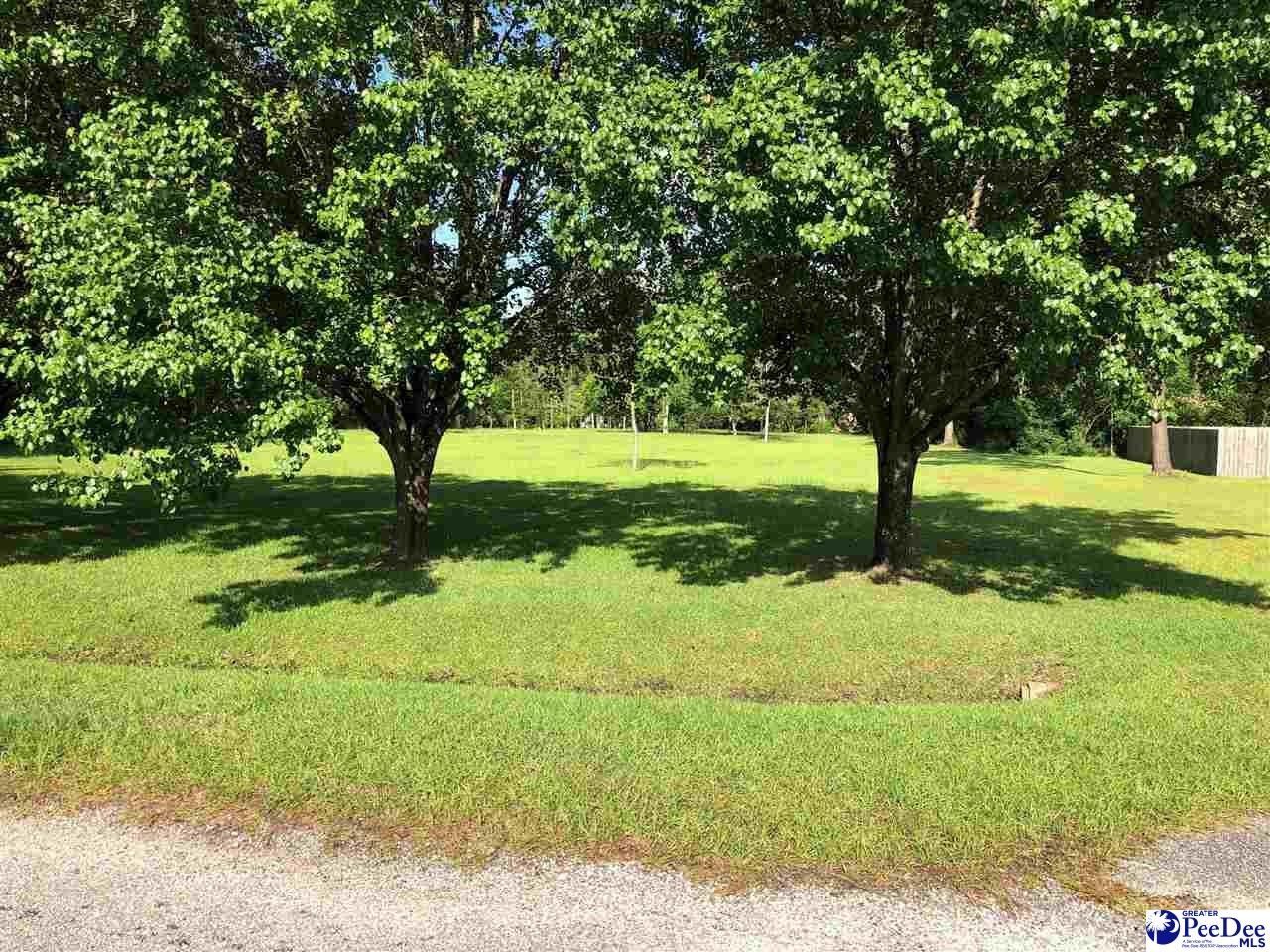 1.42 acres in Darlington County, South Carolina