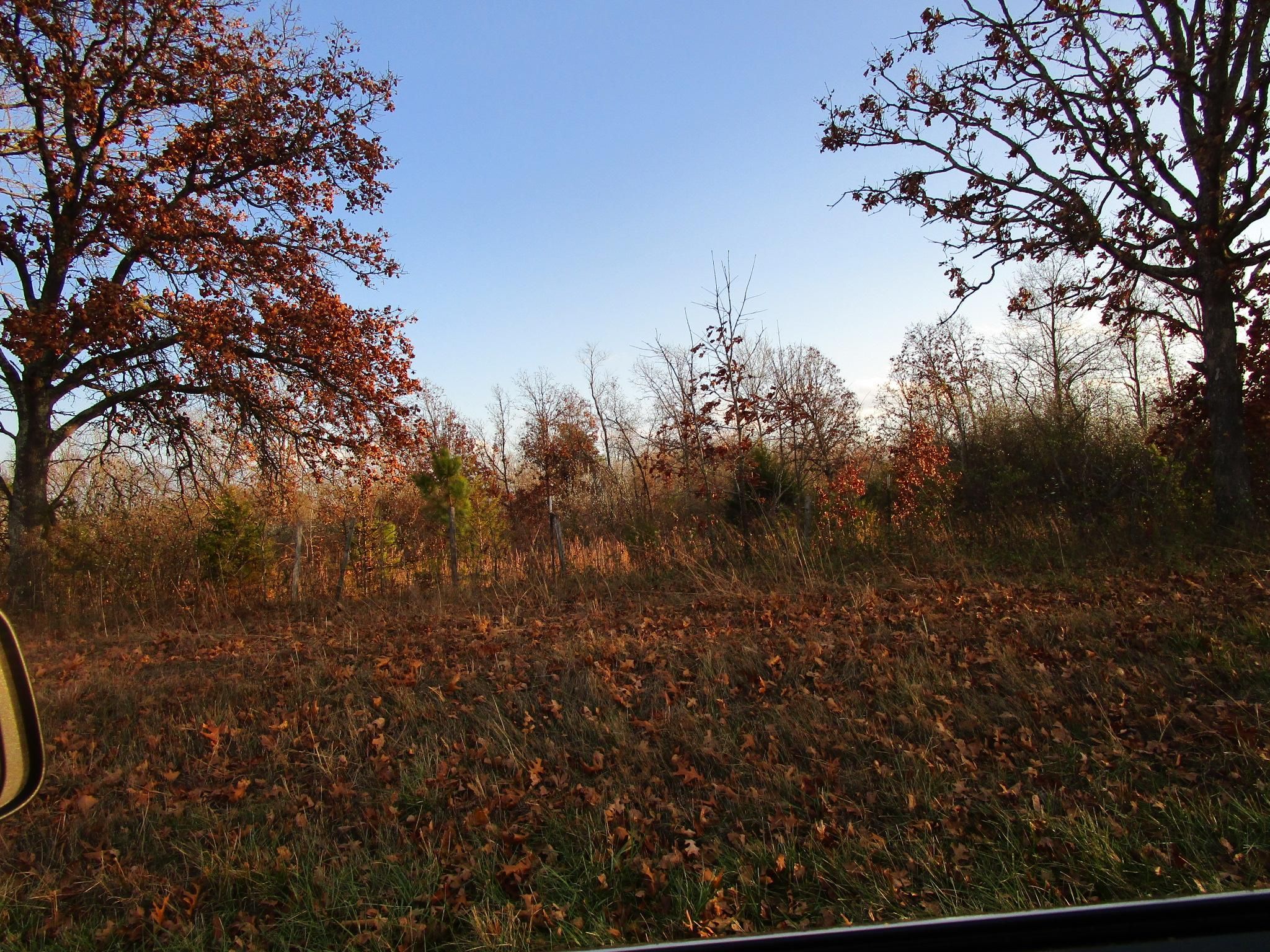 17.09 acres in Shannon County, Missouri