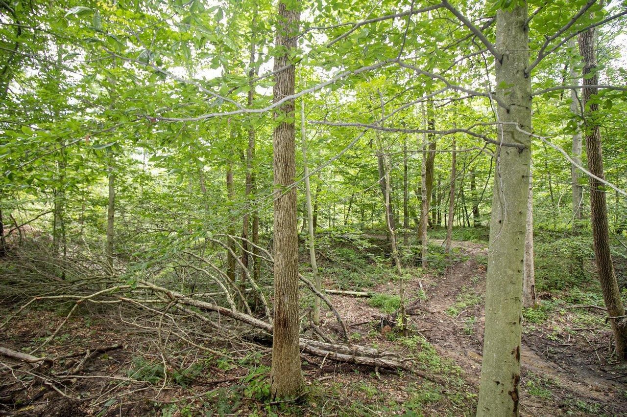 104.07 acres in Noble County, Ohio