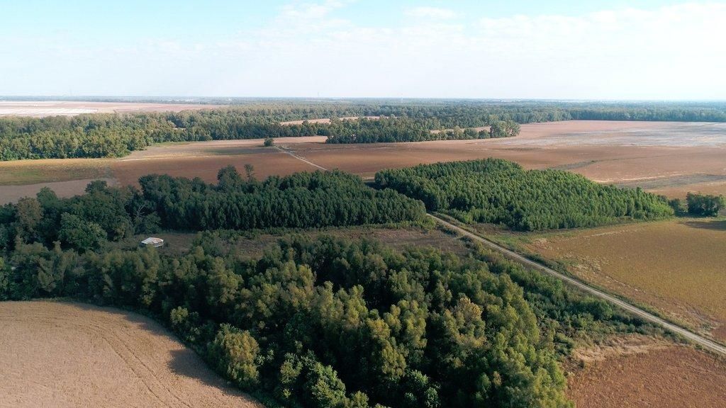 320 acres in Pemiscot County, Missouri