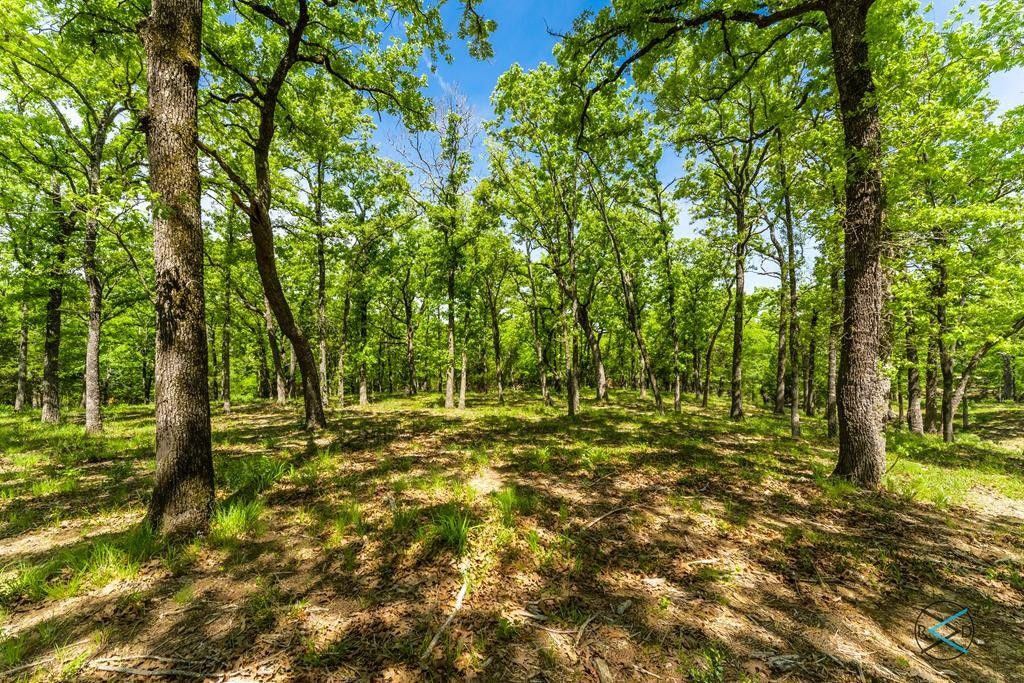 3 acres in Henderson County, Texas