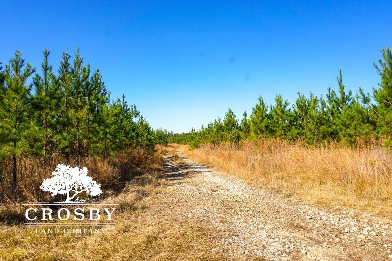 244 acres in Colleton County, South Carolina