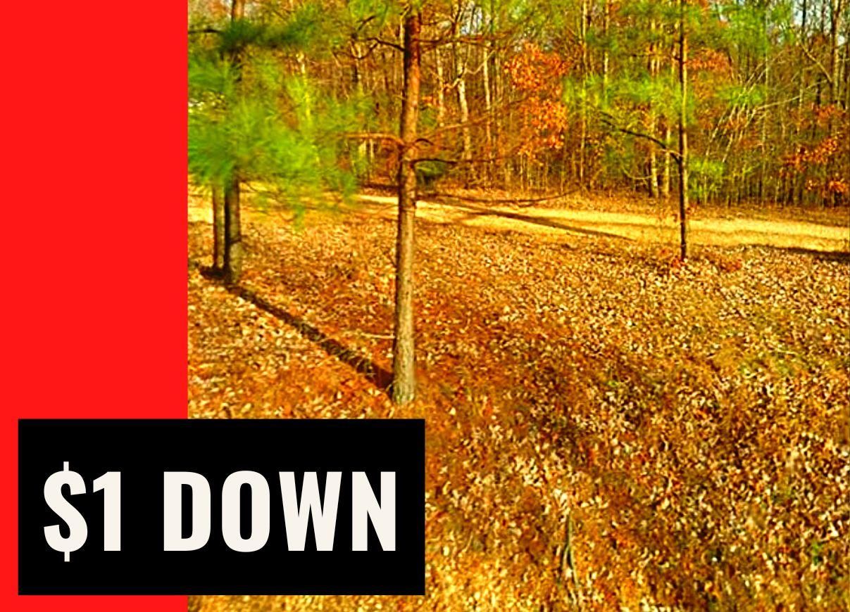 0.6 acres in Stewart County, Tennessee