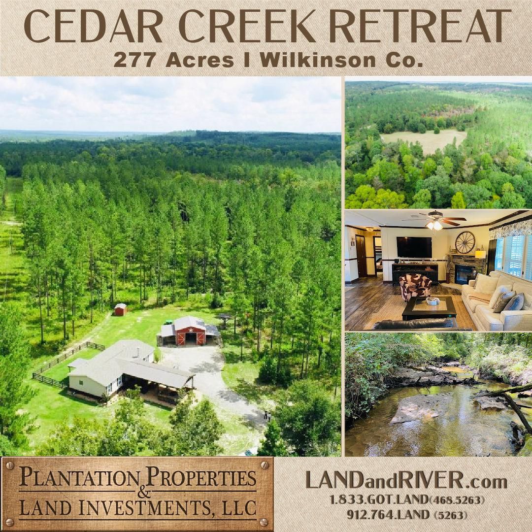 277 acres in Wilkinson County,