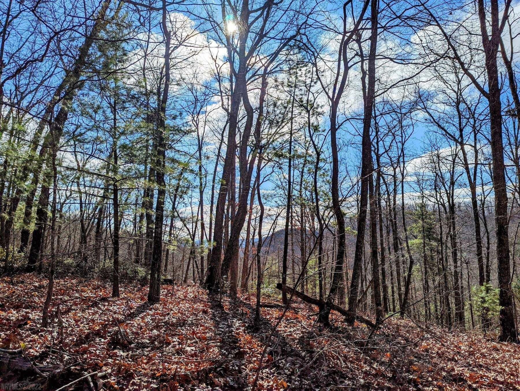 94.5 acres in Pulaski County, Virginia