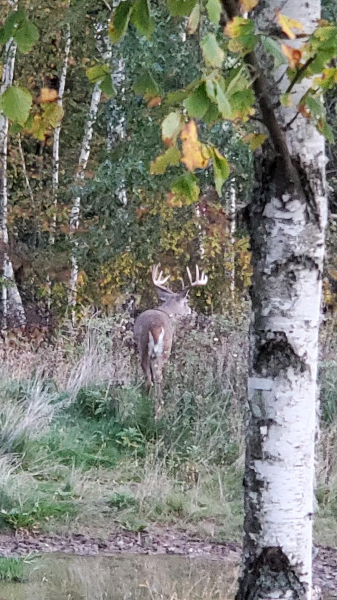 48 acres in Buffalo County, Wisconsin