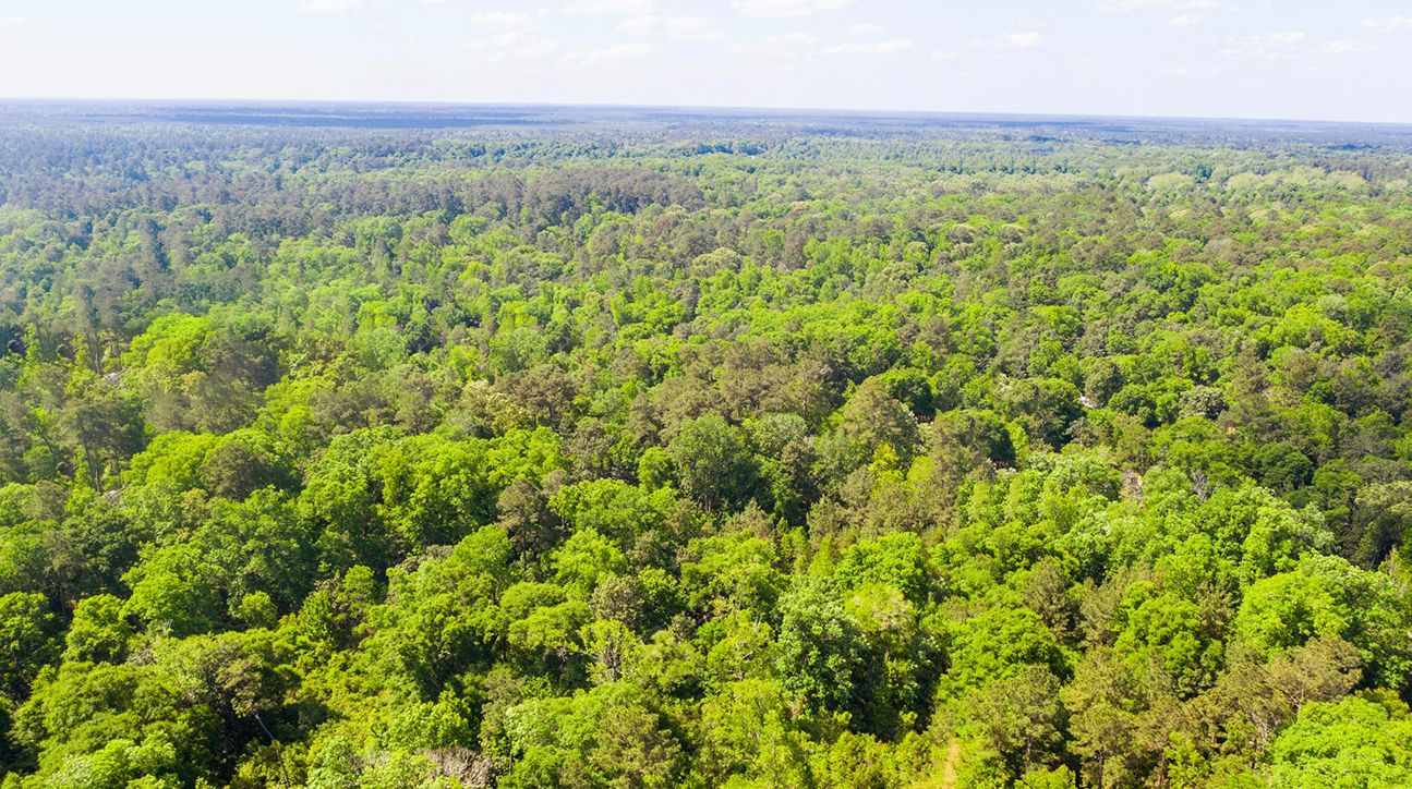 10 acres in Sullivan County, New York