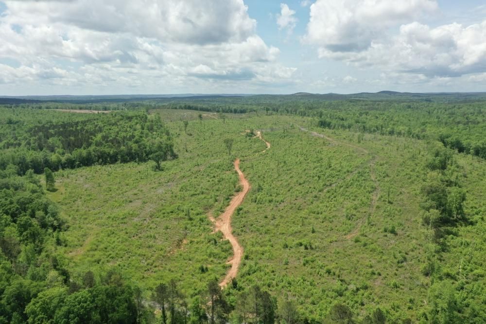 71 acres in Randolph County, Alabama