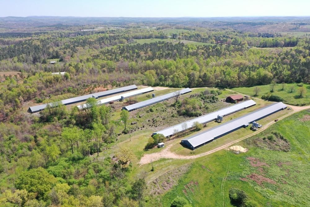 36 acres in Clay County, Alabama