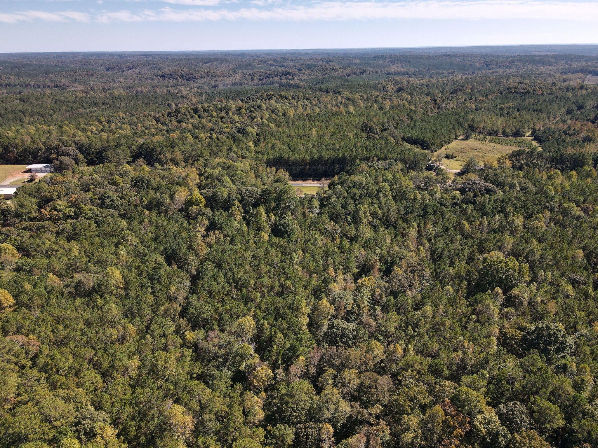 4.3 acres in Tallapoosa County, Alabama
