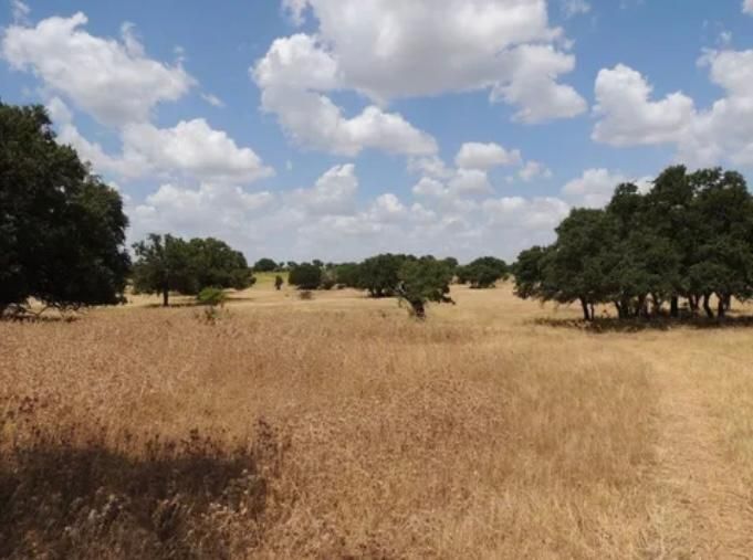 45 acres in Menard County, Texas