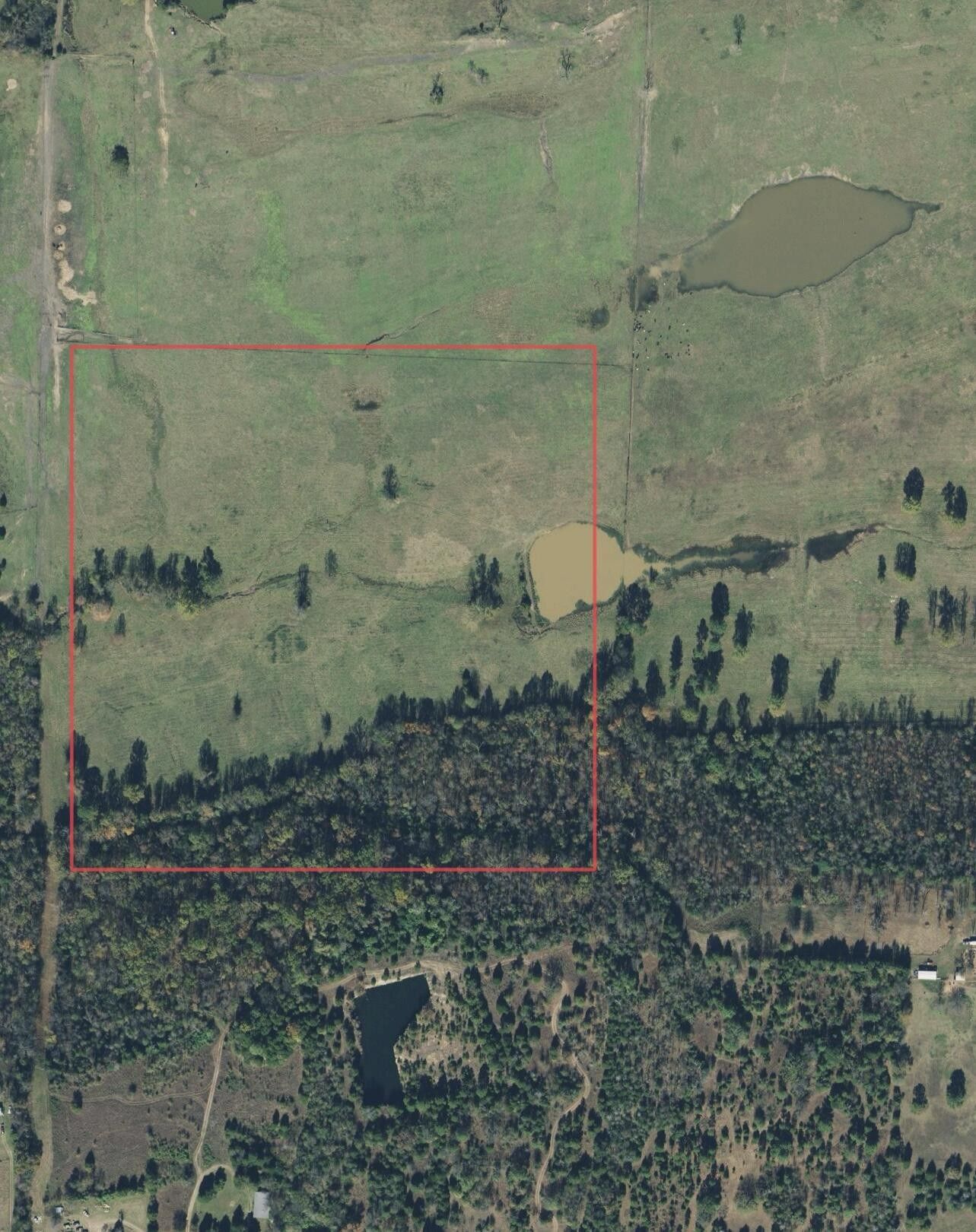 40 acres in Johnson County, Arkansas