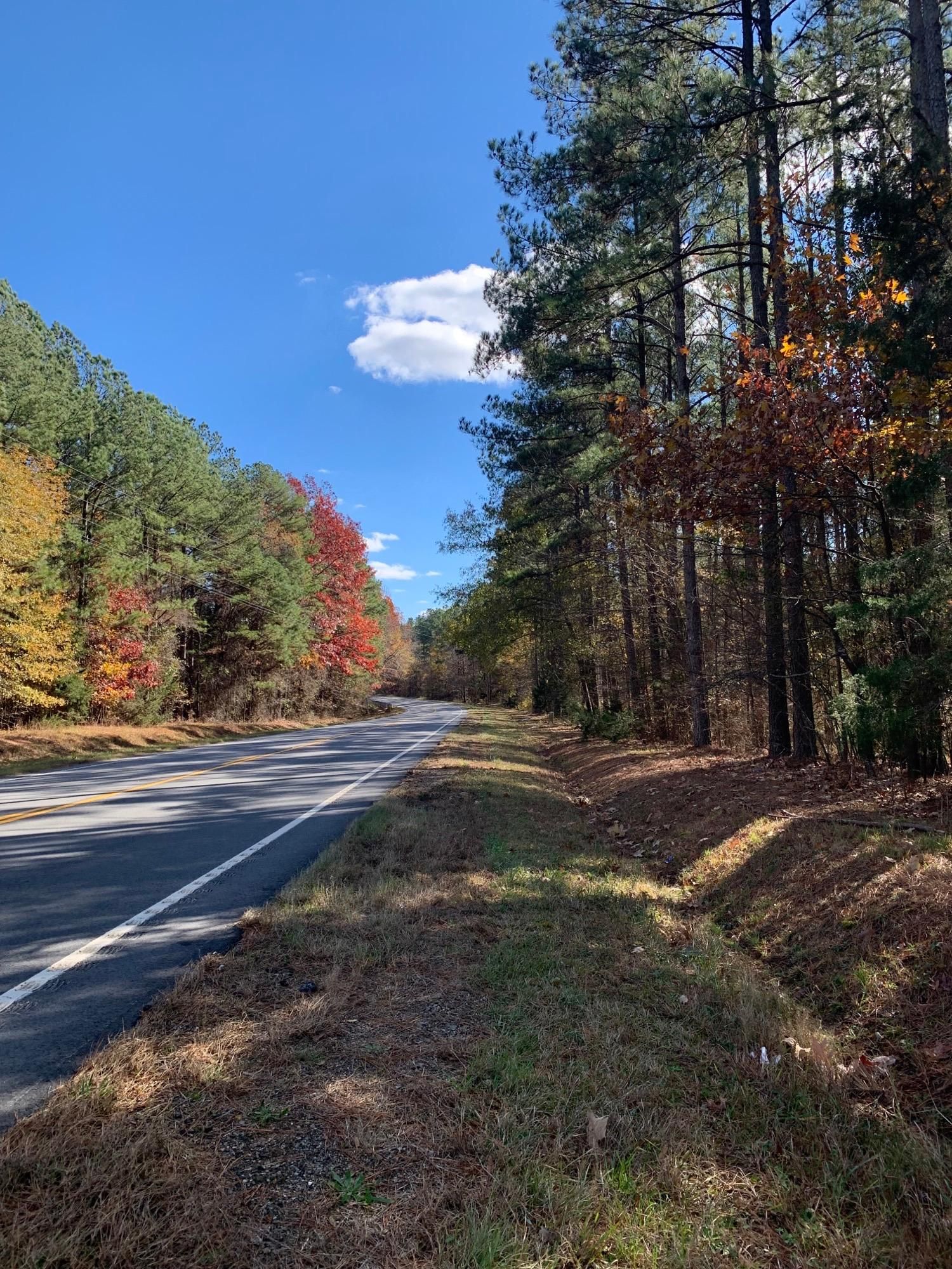 33 acres in Newberry County, South Carolina