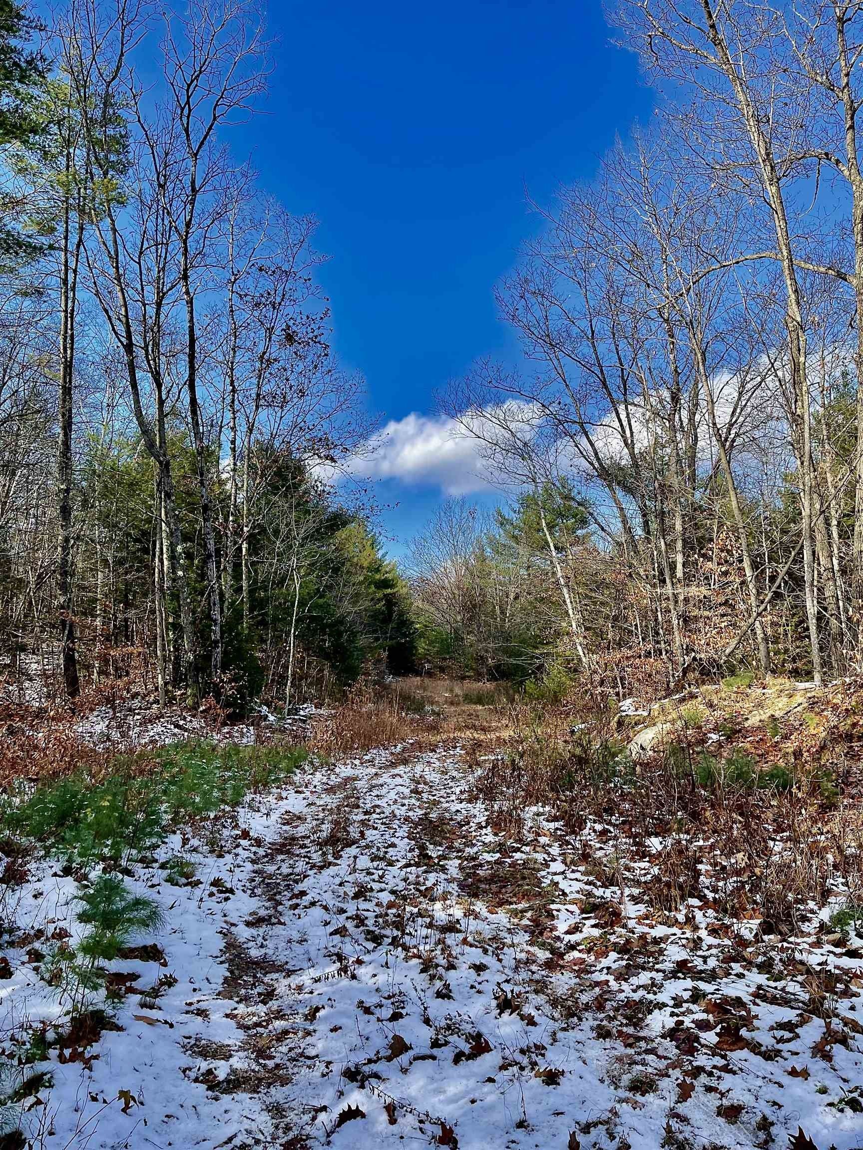 40 acres in Hillsborough County, New Hampshire