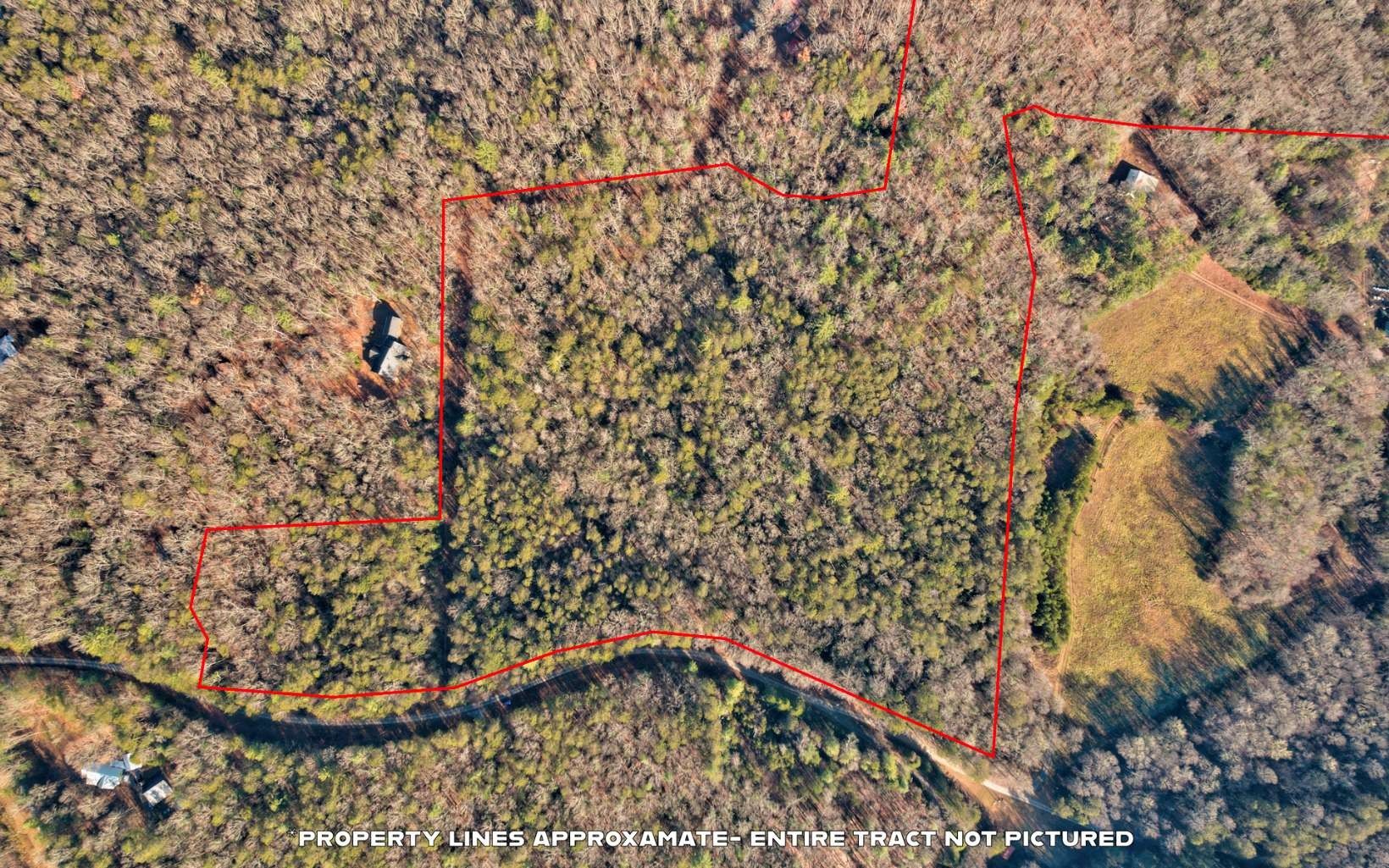 33.96 acres in Fannin County,