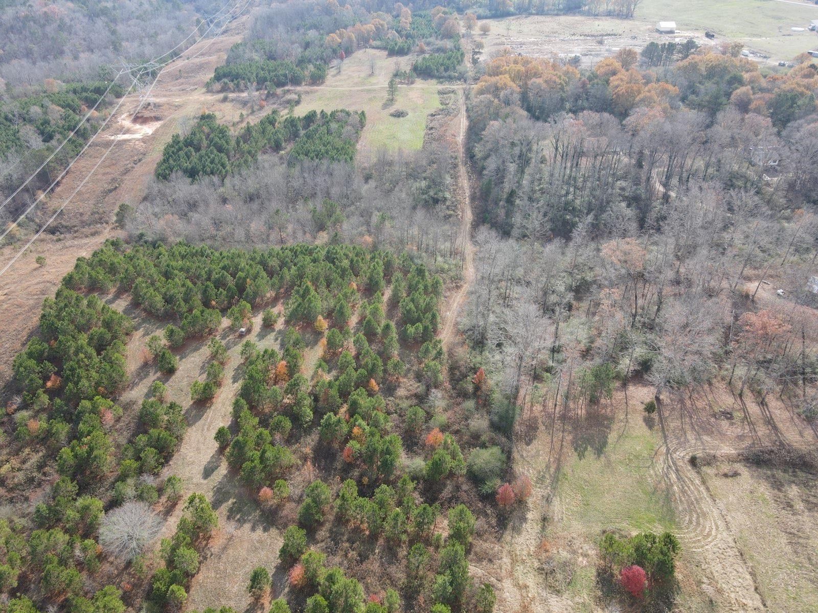 60 acres in Cullman County, Alabama