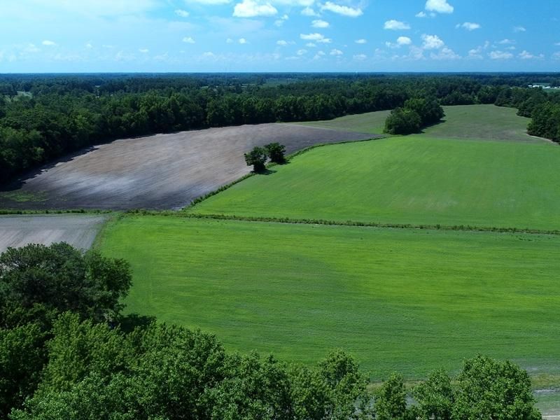 10.49 acres in Columbus County, North Carolina