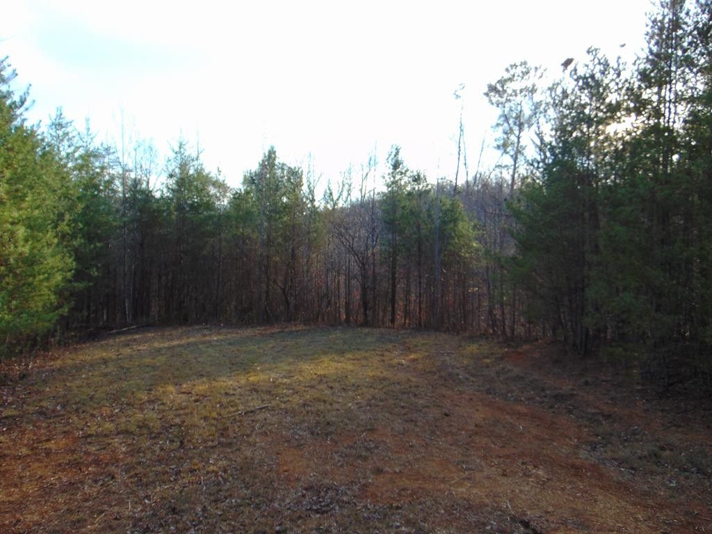 5 acres in McMinn County, Tennessee