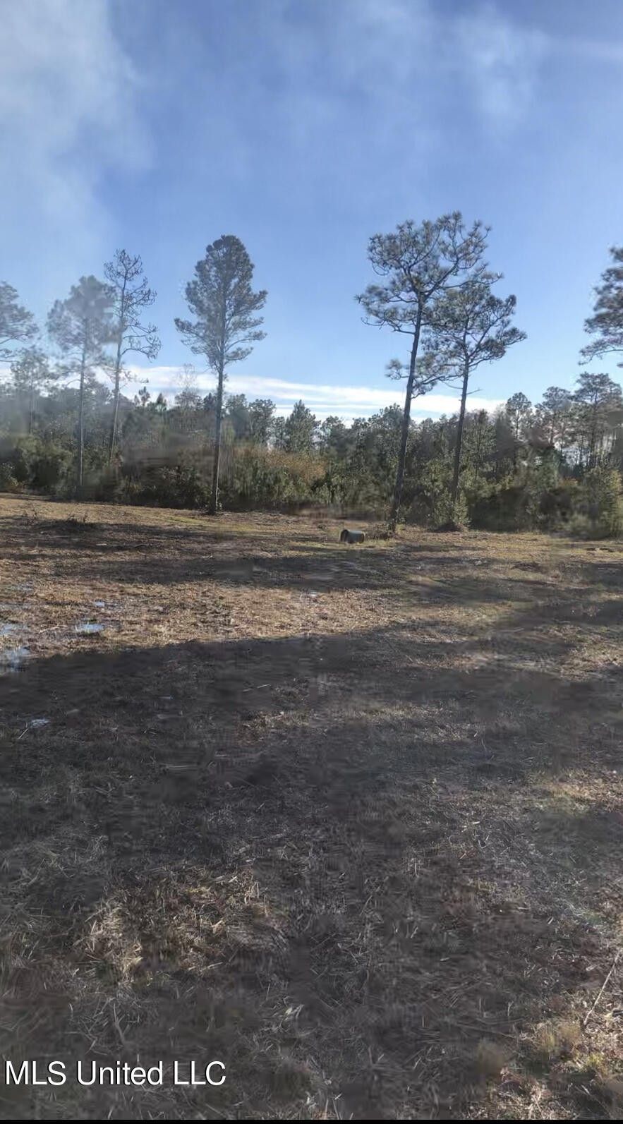 10 acres in Jackson County, Mississippi