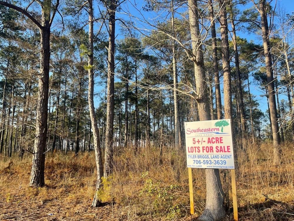 5 acres in Lee County, Alabama