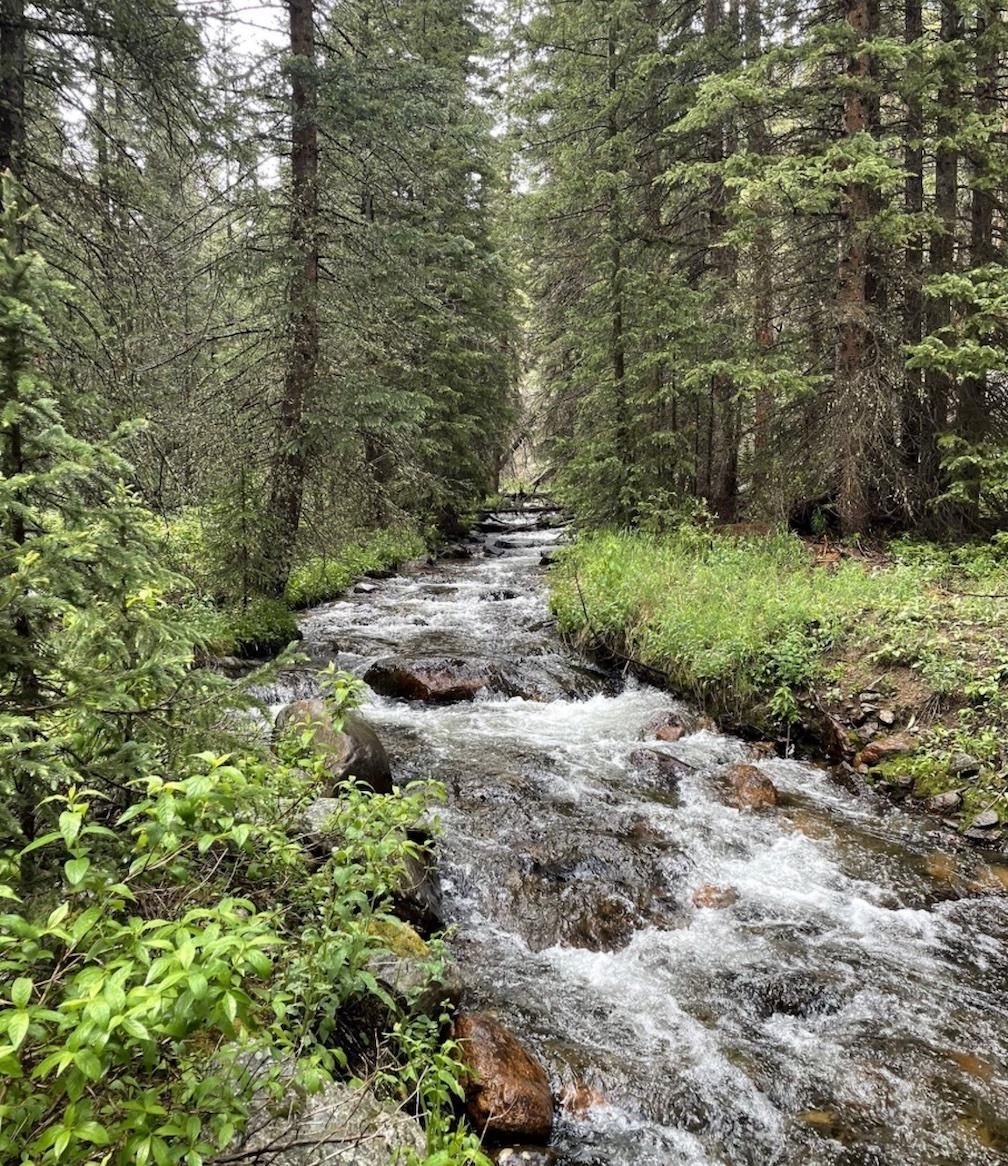 20 acres in Park County, Colorado