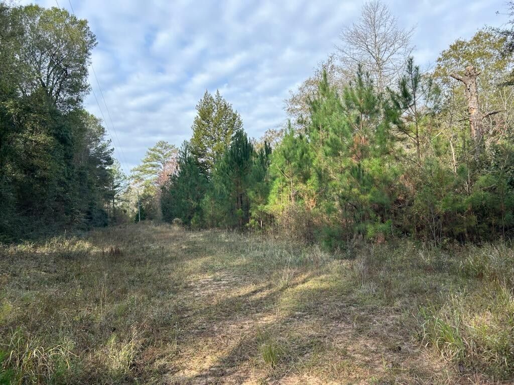 10 acres in Holmes County, Florida