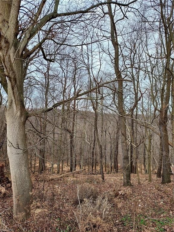 24 acres in Hancock County, West Virginia