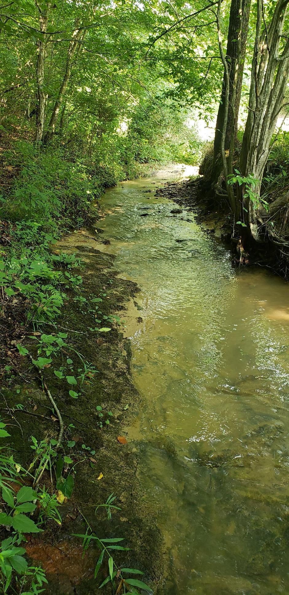 2 acres in Lawrence County, Kentucky