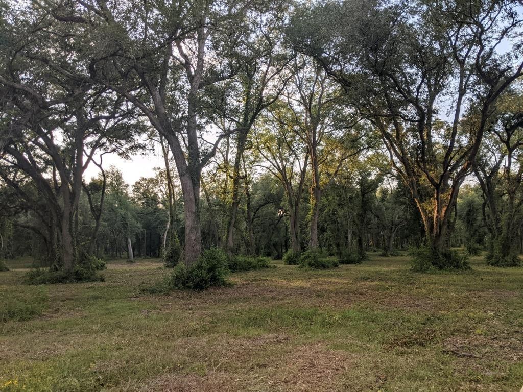 31 acres in Miller County,