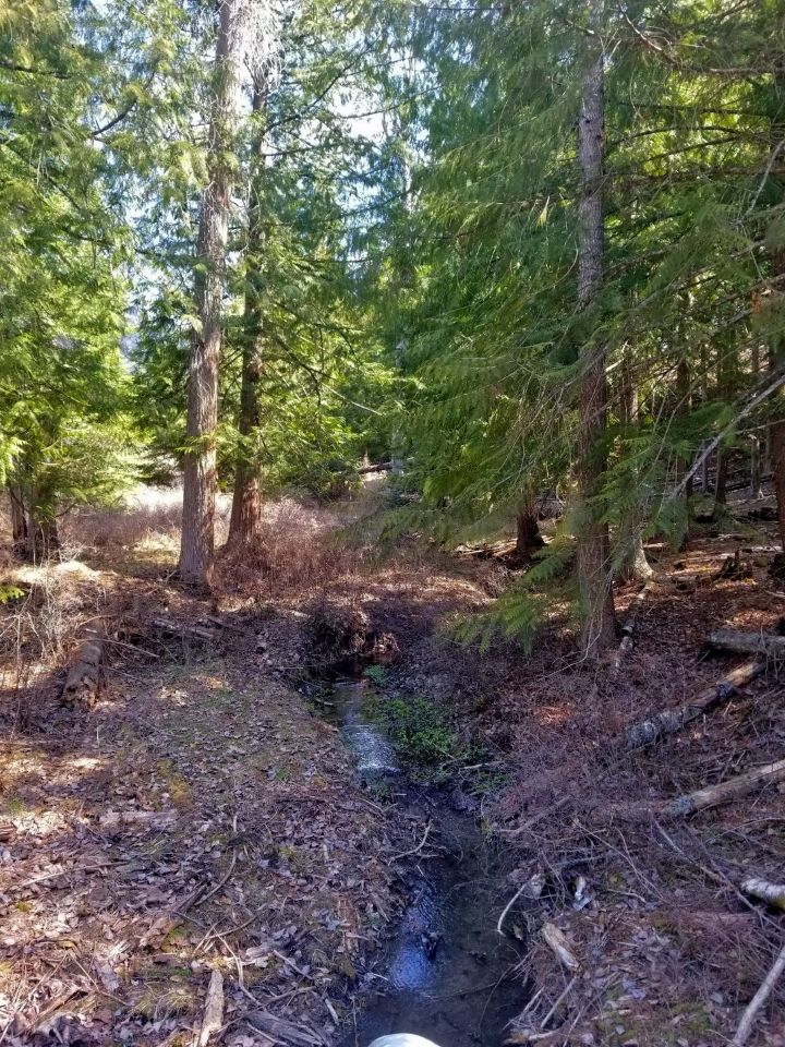 NNA Chisholm Hill Rd, Bonners Ferry, ID 83805 MLS 20222964