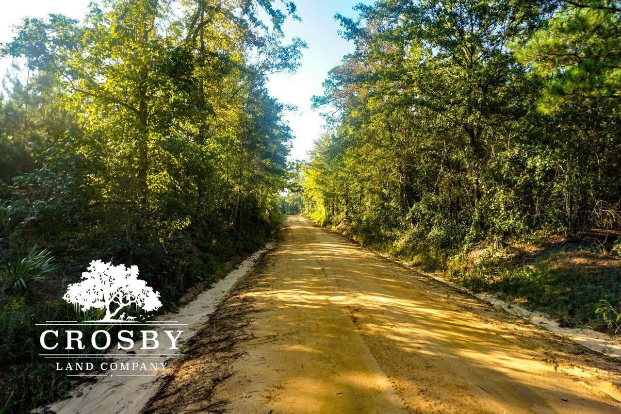 223 acres in Jenkins County,