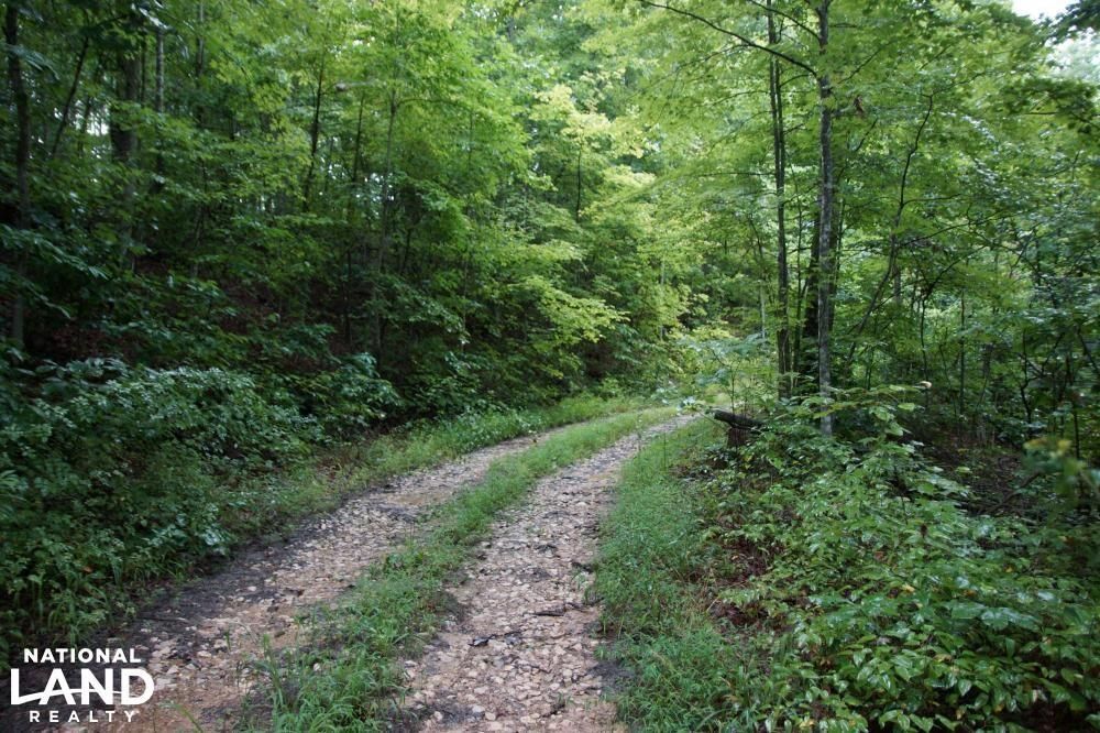 2,900 acres in Lee County, Kentucky