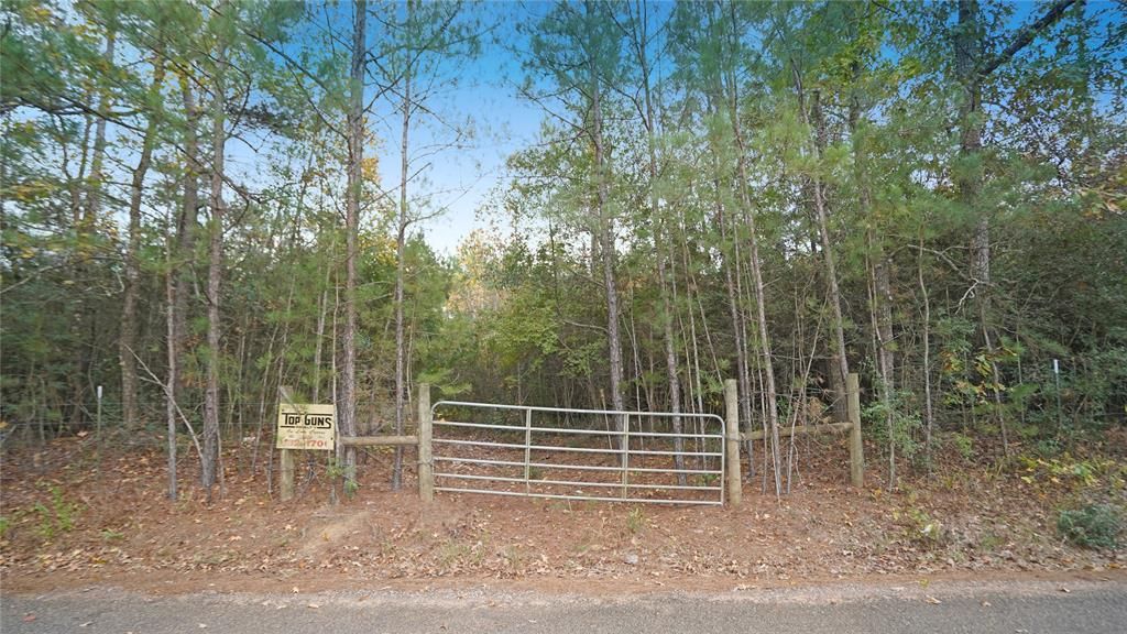 10 acres in San Jacinto County, Texas