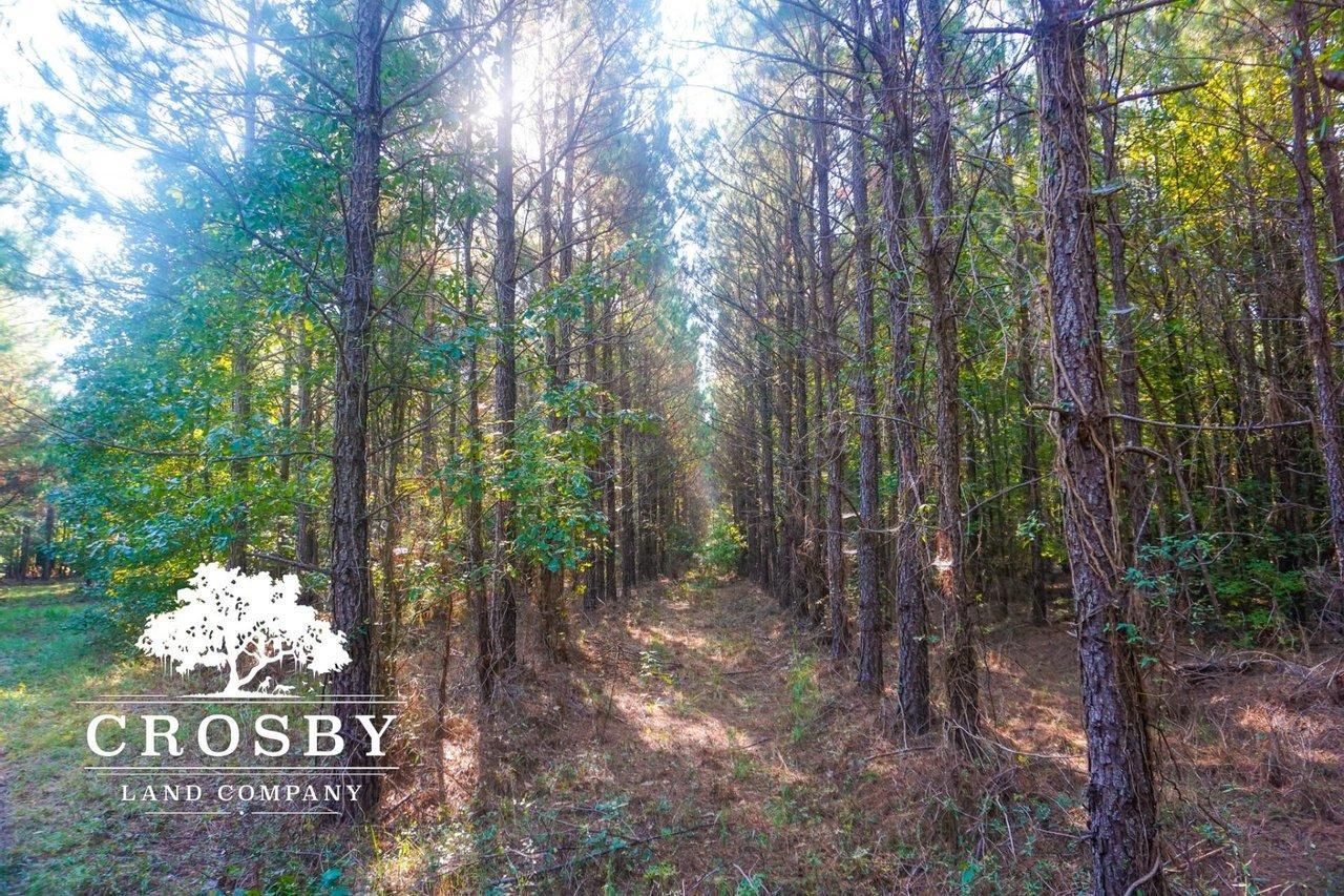 52 acres in Midville, GA, 30441