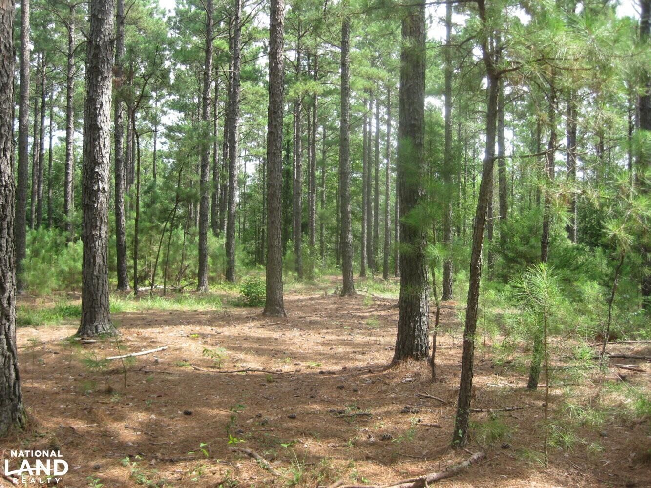 163 acres in Fairfield County, South Carolina