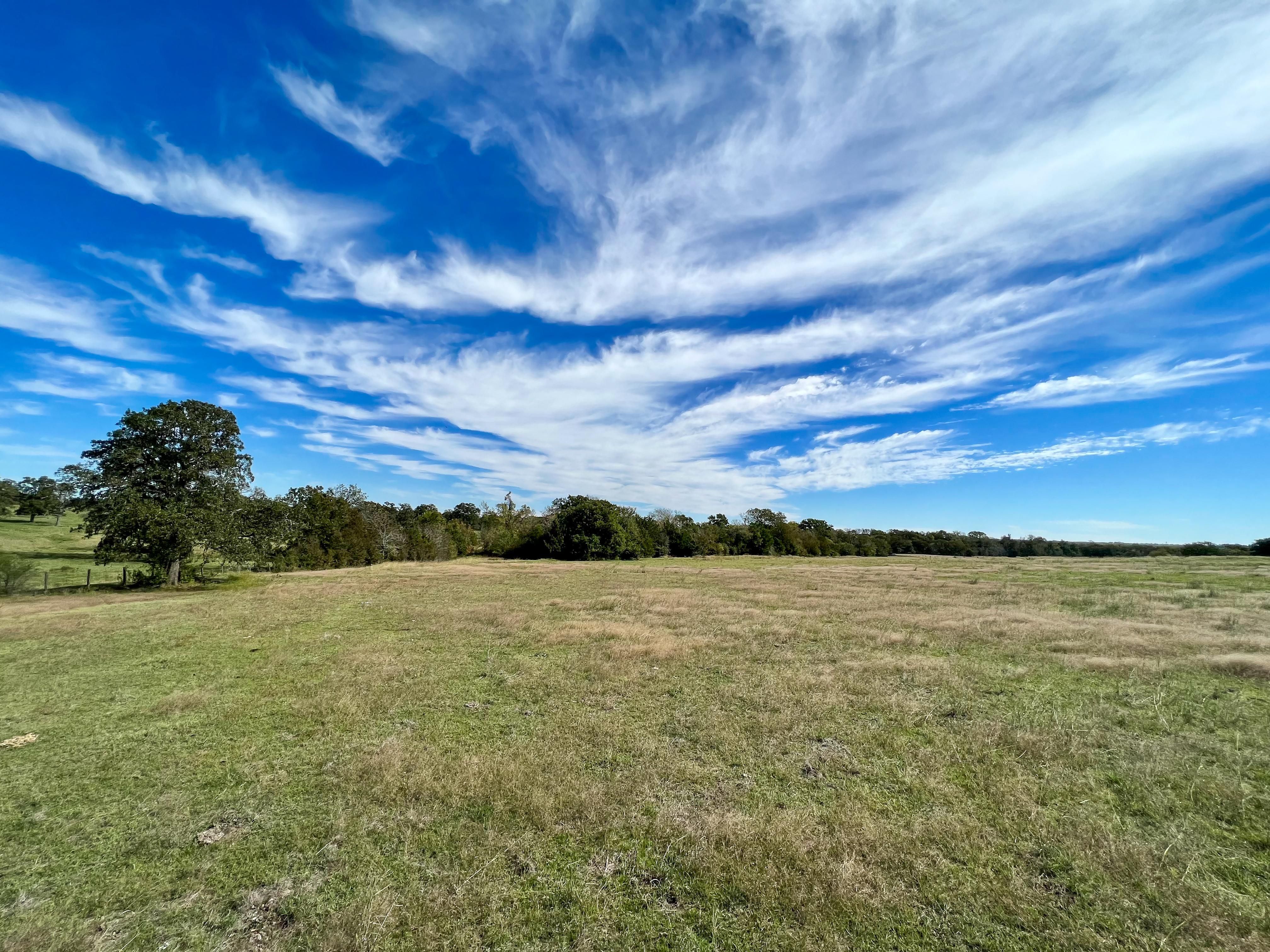 5.5 acres in Grimes County, Texas